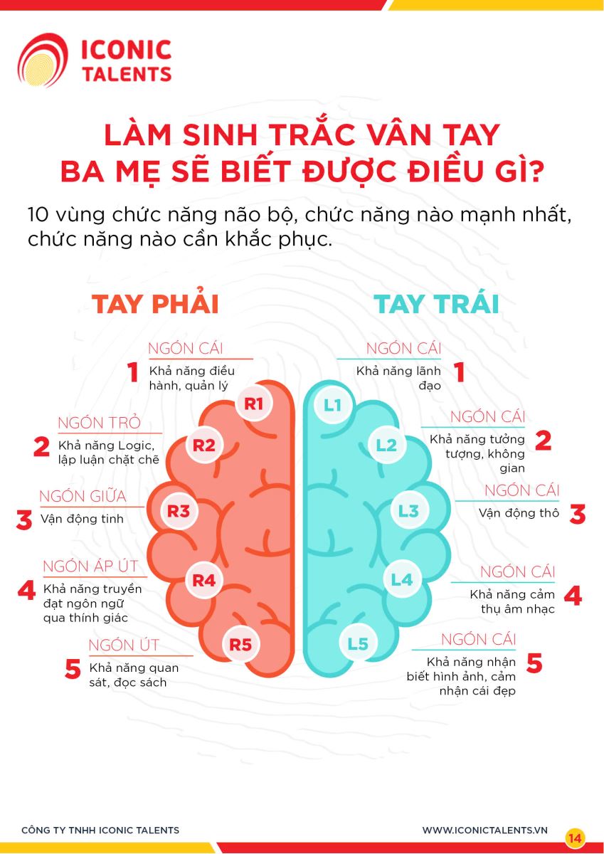 10 vùng chức năng não bộ, chức năng nào mạnh nhất, chức năng nào cần khắc phục.